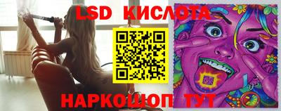 гидра Рязань