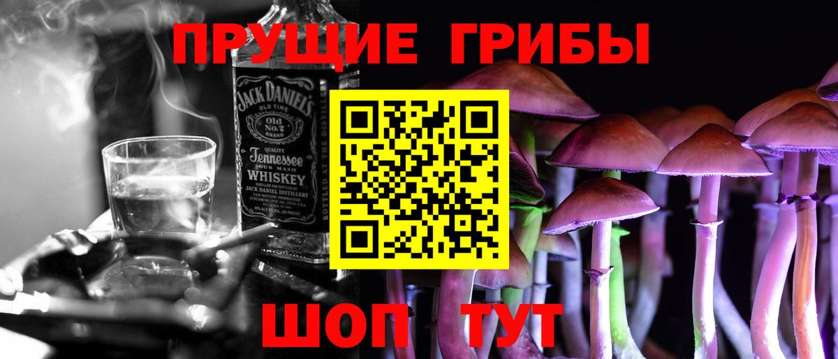 Галлюциногенные грибы Cubensis Анжеро-Судженск