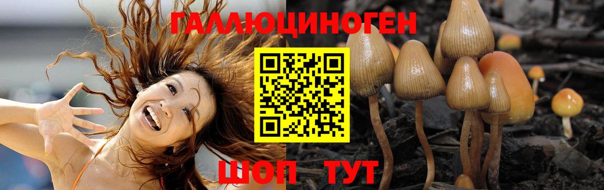 Анжеро-Судженск  Галлюциногенные грибы GOLDEN TEACHER  где купить наркотик  Вход с VPN 